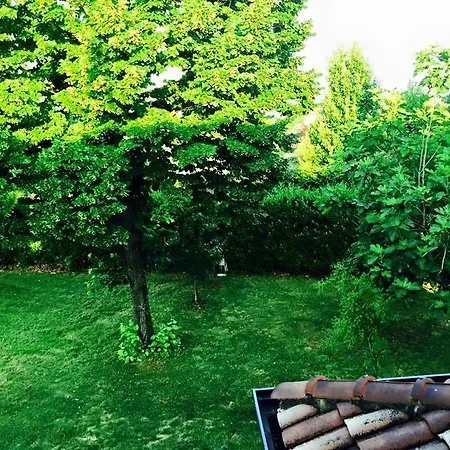 Bed and breakfast Autodromo Misano Misano Adriatico